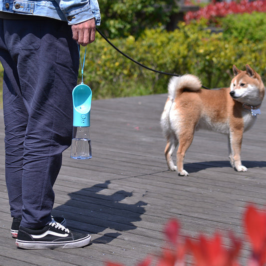 Dog water bottle